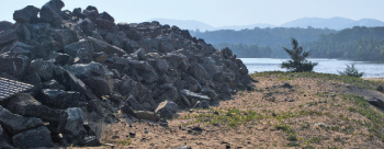 Govt cannot construct without environmental clearance: NGO