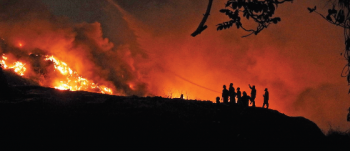 mmc ropes in mumbai co to tame sonsodo fire