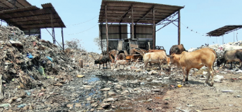 File police complaint against those dumping garbage: CO