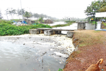 Benaulim tenants panel blame govt for sea water in paddy fields