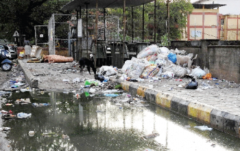Vijai moots Plan B, rope in Mumbai-based expert to tide over situation at Sonsodo