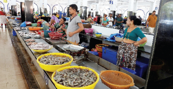 Formalin scare back to haunt fish vendors, business hits a low