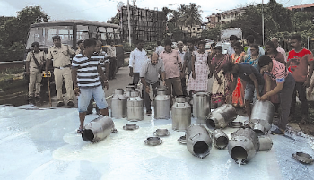 SUMUL rejects large quantities of milk