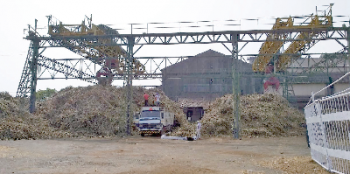 ‘Govt to decide on Sanjivani’s future after report’