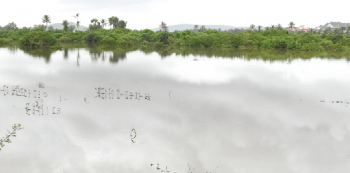 Western bypass: spectre of flooding haunts again