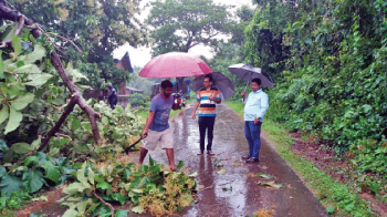 Fallen trees, poles damage properties in Canacona
