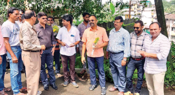 Work on Vasco fish market within 3 months: Almeida
