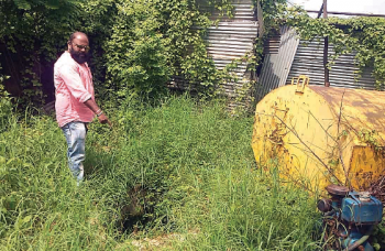 Overgrown bushes around valves of pipeline pose danger to PWD staff