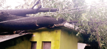 Heavy rains, winds damage property in Bicholim, Sankhali