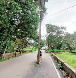 PWD widens Guirim road, but leaves electric pole untouched in middle