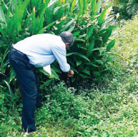 206 dengue cases in Margao since Oct 1, but authorities yet to combat spread