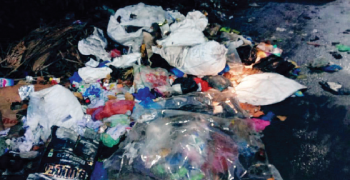 MMC chief restores powers of two sanitary inspectors to oversee waste management