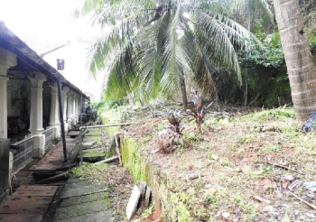 Hospicio head count reveals 25 nurses, 3 docs, 6 servants & 5 guards victims of dengue