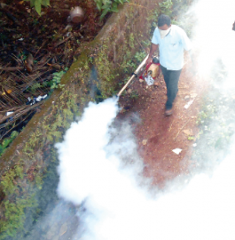 Dengue spreads its ugly tentacles in Porvorim, PHC downplays numbers