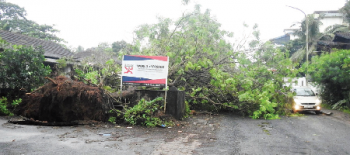 RAINS, CYCLONIC WINDS THROW LIFE OFF GEAR