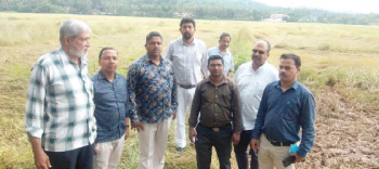 Doubts raised over compensation for damaged crops