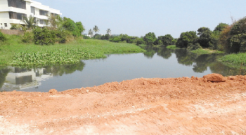 Damming of River Sal to facilitate Western bypass raises a stink