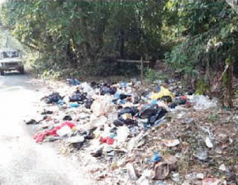 Foreign wildlife lover rues garbage on Canacona’s internal road
