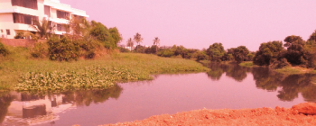 River Sal to be desilted from Nuvem to Khareband