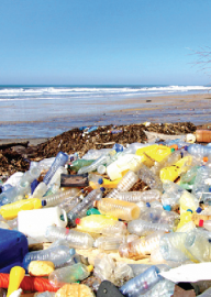 More plastic on Maha beaches than K’taka, Goa: NIO study