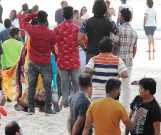 Petty thieves target New Year revellers