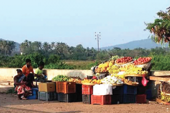 Bakery vans, fruit vendors do brisk biz inside SGPDA wholesale fish market