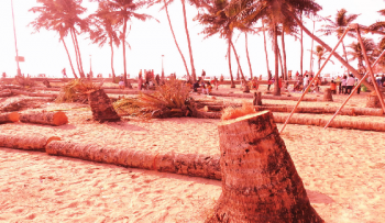 Greens condemn felling of trees to make way for GTDC project at Colva