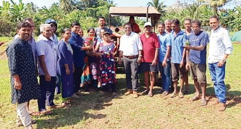 Traditional farming begins in Vasco, farmers seek cleaning of WRD nullah