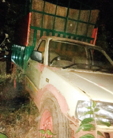 Forest personnel attacked at Virdi, one held for transporting khair wood illegally
