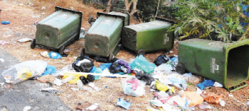 Waste collection comes to a screeching halt in Fatorda