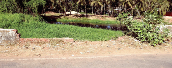 Benaulim panchayat directed to build retaining wall along River Sal on priority