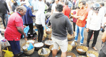 Fish sold at a premium in SGPDA markets