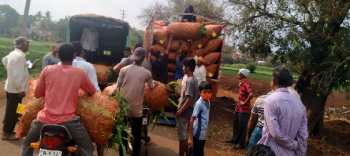 WITH HURDLES IN GOA, BELAGAVI SUPPLIERS DIVERT VEGGIES TO OTHER MARKETS
