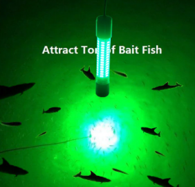 Implead those using LEDs for fishing, HC tells trawler owners