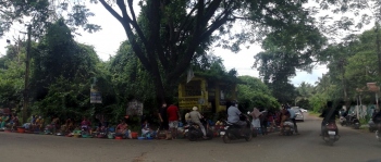 Proliferation of roadside fish markets raises stink in Canacona Locals fear road mishaps due to sale of fish along busy route
