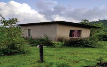 Authorities mum as structures spring up on government land