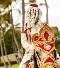 Covid effect: Now, Indian wedding band owners selling their horses