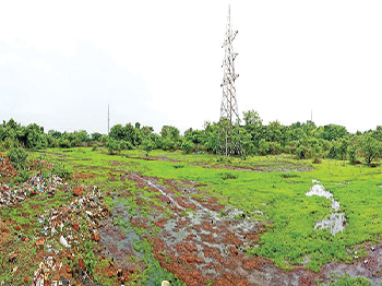 Bainguinim plant: Govt to call for bids