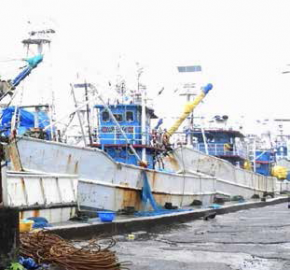 Now, dept asks fishing bodies to provide toilet facilities at Cutbona jetty