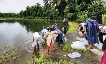 Thrust laid on effective biodiversity conservation