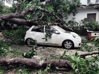 House, car damaged in tree fall at Aldona