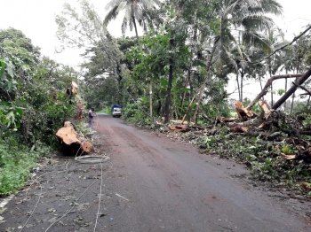 Tree fall disrupts power supply, traffic at Azossim