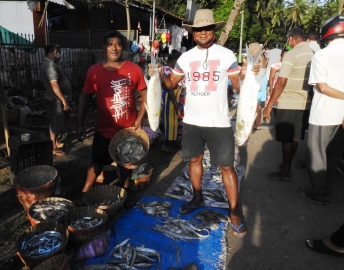 Fish lovers head to Benaulim to lay hands on fresh catch