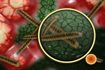 Beware of the Cat Que Virus, also from China