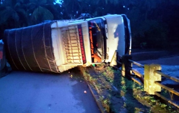 Assonora mishap: Driver, cleaner escape, cattle dies