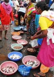 MMC to crack whip on illegal sale of fish