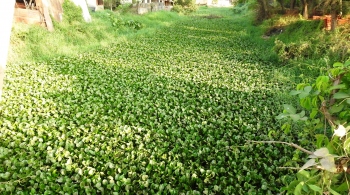 River Sal desilting: All eyes on govt as WRD awaits expenditure sanction