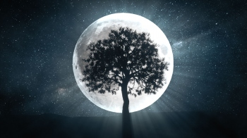 NASA discovers the moon is wet ” now scientists want to go back