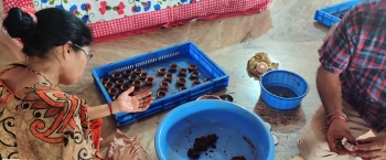 In a first, 1 lakh dung diyas to light up Diwali across the state