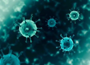 850,000 animal viruses lying in wait, unless we protect nature, warns UN